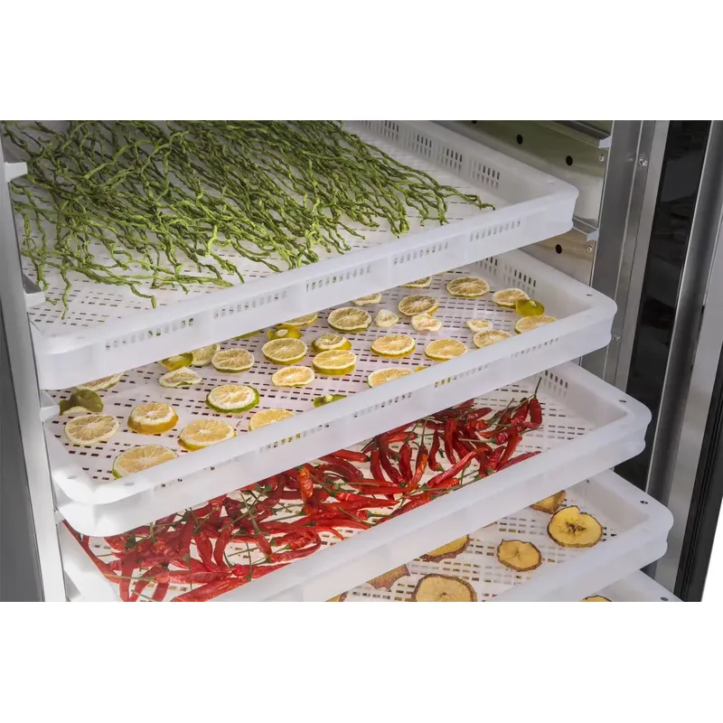 Industriële commerciële droogm - Commercial Food Dehydrator recensie en prijs