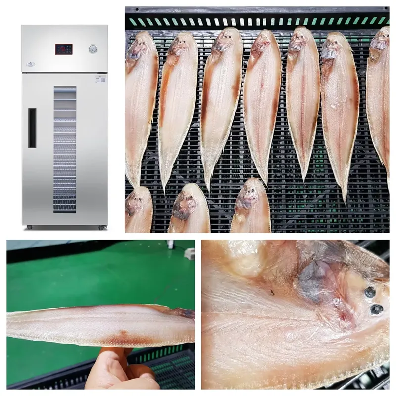 Industriële commerciële droogm - Commercial Food Dehydrator recensie en prijs